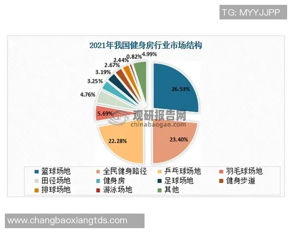 数据分析：杭州乒乓球队的技术表现